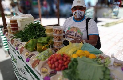 Seagri entregam cisternas e barracas para agricultores de Palmeira dos Índios  