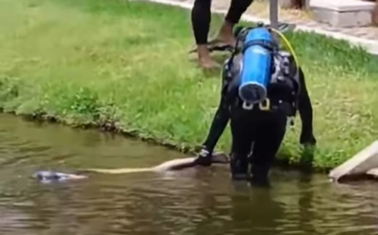 Corpo de jovem desaparecido é encontrado no Açude do Goiti em Palmeira dos Índios