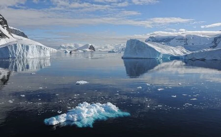 Pesquisas brasileiras ajudam a entender vida na Antártica