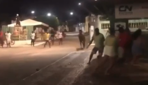 Festa termina com cavalo apedrejado em Brejo Grande; VÍDEO