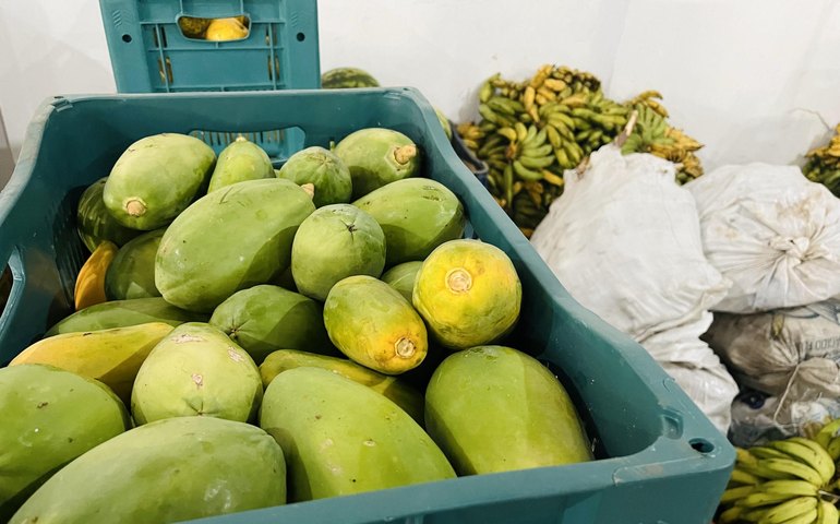  Em menos de 10 dias, 115 toneladas de alimentos são doadas pelo PAA em Alagoas 