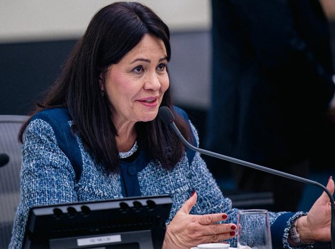 ALE discute em 2º turno projeto que garante avaliação cardiocirculatória no pré-natal