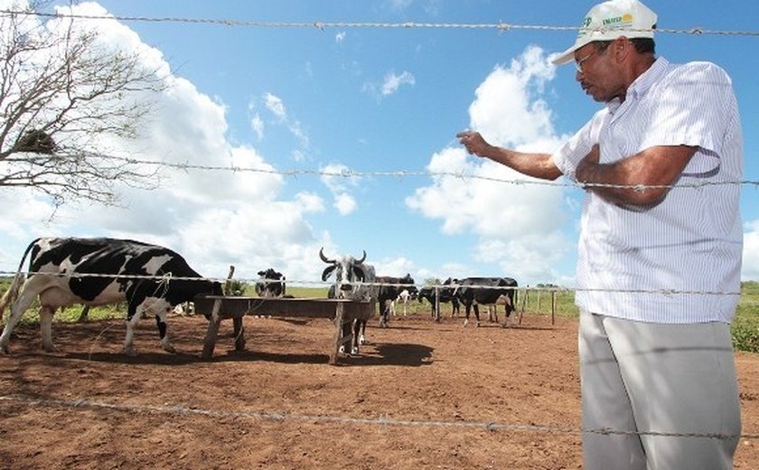 Agricultura discute estratégias com setor produtivo do leite na segunda-feira (2)