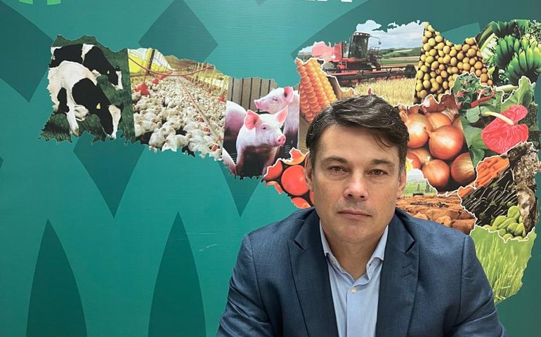 FAESC apoia PL que visa permitir o manejo sustentável da Araucária