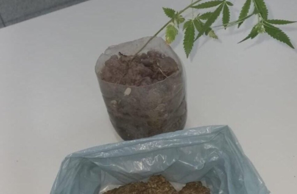 Apreensão de drogas  / Foto: PMSE