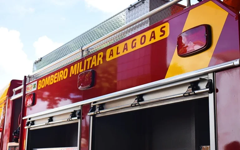 Cachorro é resgatado de córrego por bombeiros em Arapiraca