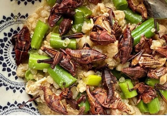 Biscoito de larvas e macarrão com grilo: chef de cozinha estimula consumo de insetos nos EUA