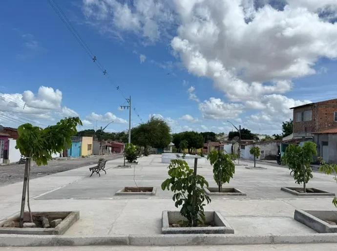 Prefeitura de Delmiro Gouveia já plantou mais de 5 mil mudas e amplia ações de arborização para 2026