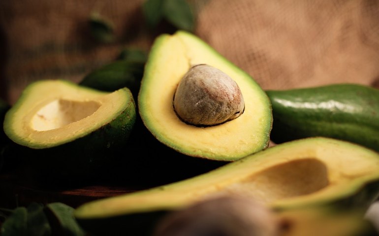 Costa Rica abre mercado para exportação de abacate do Brasil