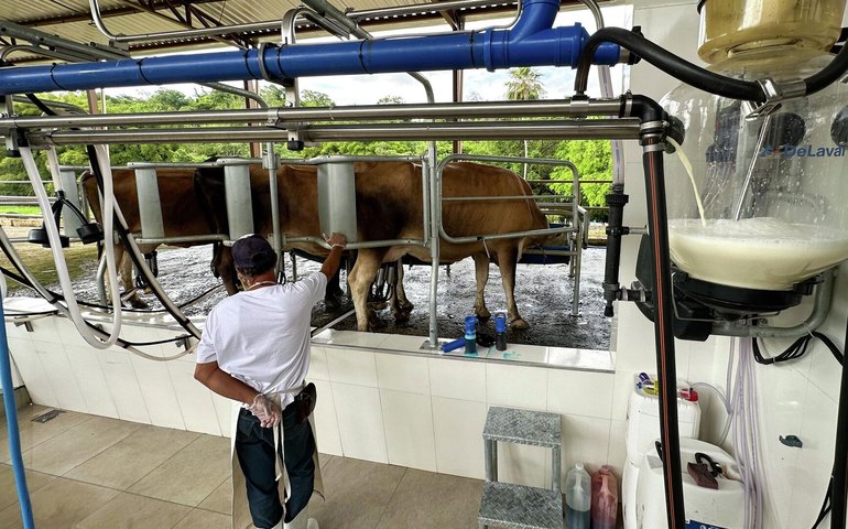 Entre alertas e incertezas: acordo Mercosul-UE testa competitividade de vinhos e queijos no Brasil