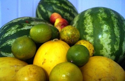 Quanto mais colorida, maior é a qualidade da refeição, afirma nutricionista do HGE