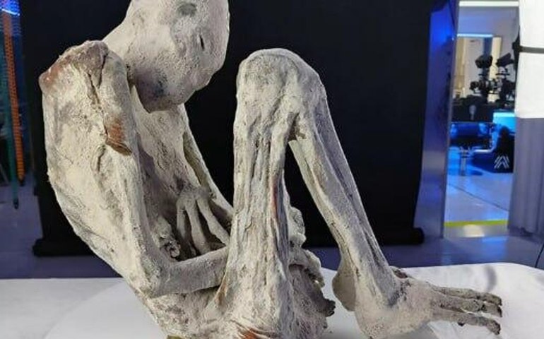 Ossos de bebê são descobertos em útero de múmia 'alienígena' de 1,2 mil anos no Peru
