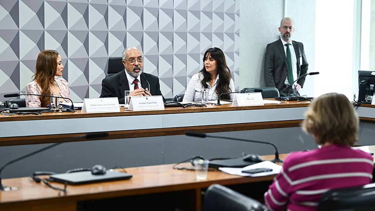 Combate à violência contra a mulher deve ser política permanente, defendem debatedores