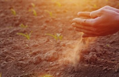 Garantia-Safra autoriza o pagamento para mais de 380 mil agricultores no ciclo da safra 2019/2020