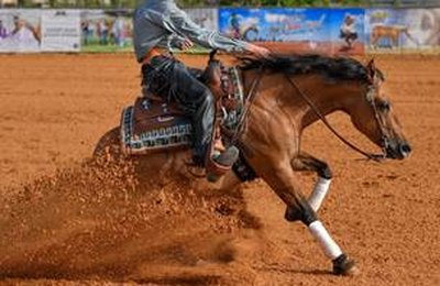Cuidados adequados podem evitar aposentadoria precoce de cavalos atletas por doença articular