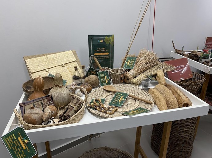 Herbário MAC comemora Dia Internacional dos Museus unindo ciência e visitação pública