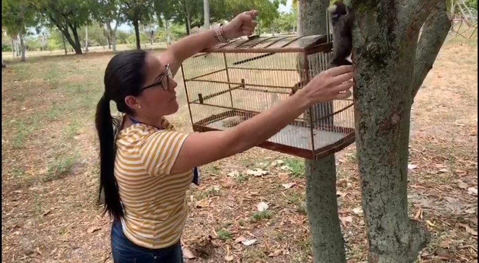 SAGUI SOLTO