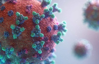 Boletim Epidemiológico: Palmeira tem mais três casos suspeitos para a Covid-19