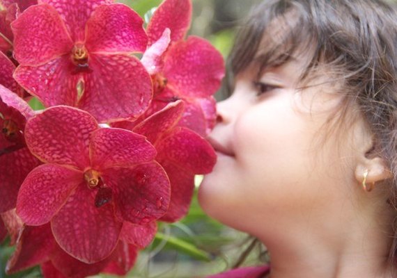 Quadros e orquídeas colorem o Jardineto Botânico do Instituto do Meio Ambiente