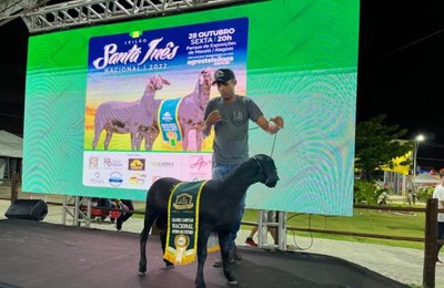 Leilões da Expoagro-AL trazem o melhor do mercado de genética
