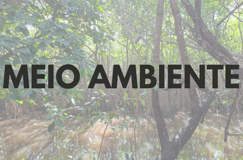 MPF recomenda medidas para cessar danos ambientais em manguezal no Município de Porto de Pedras/AL