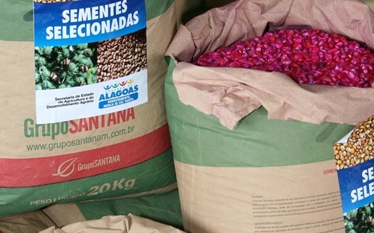 Programa de Sementes beneficia mais de 93 mil agricultores de AL