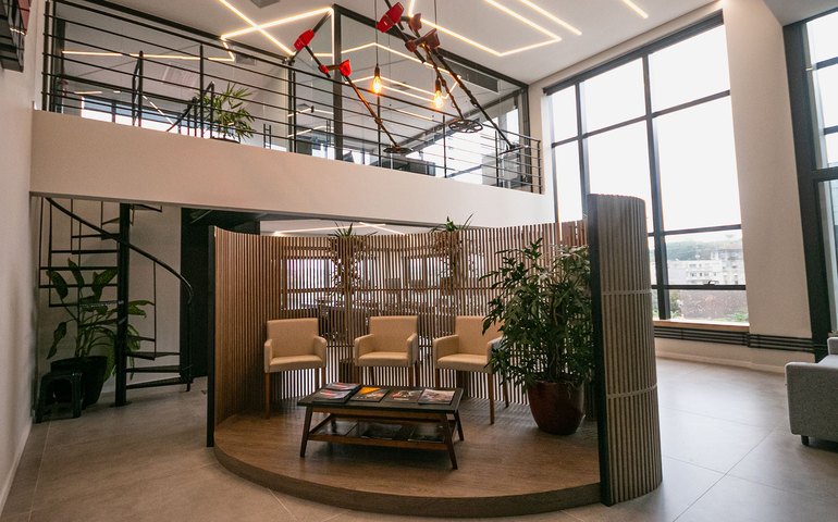 Biofilia contribui para promoção da saúde mental no trabalho