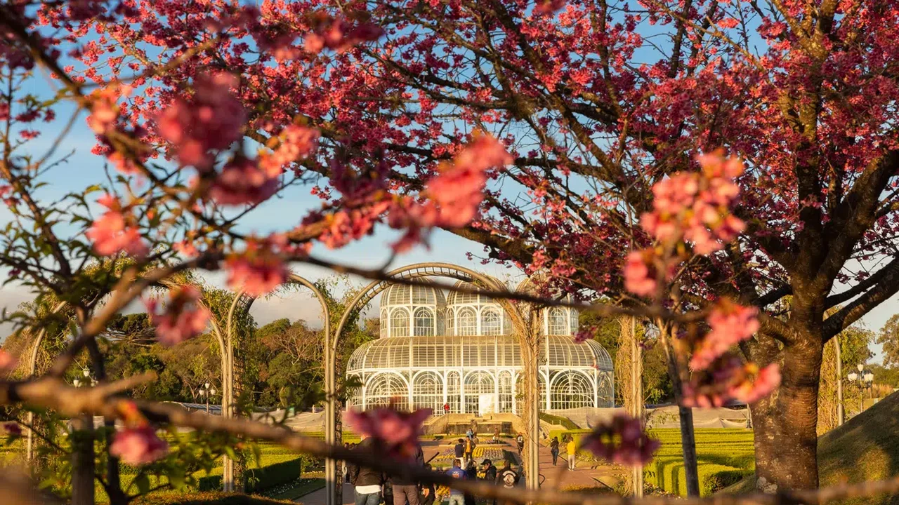 Primavera no Brasil: conheça 5 destinos que ganham novos cenários na estação