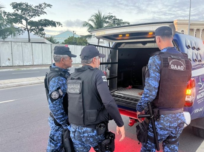 Guarda Civil Municipal prende suspeito de furto de cabos de iluminação no Jaraguá