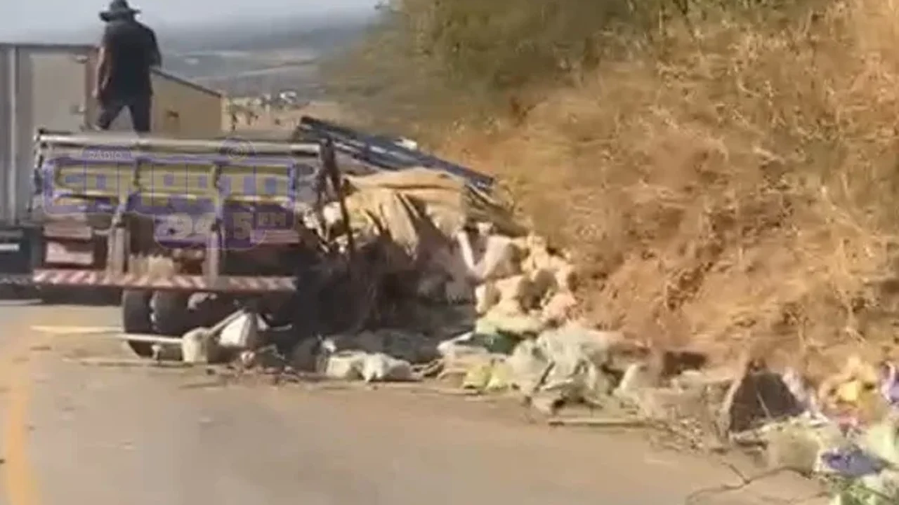 Caminhão perde os freios na Serra das Pias e motorista evita tragédia ao jogar veículo contra barreira