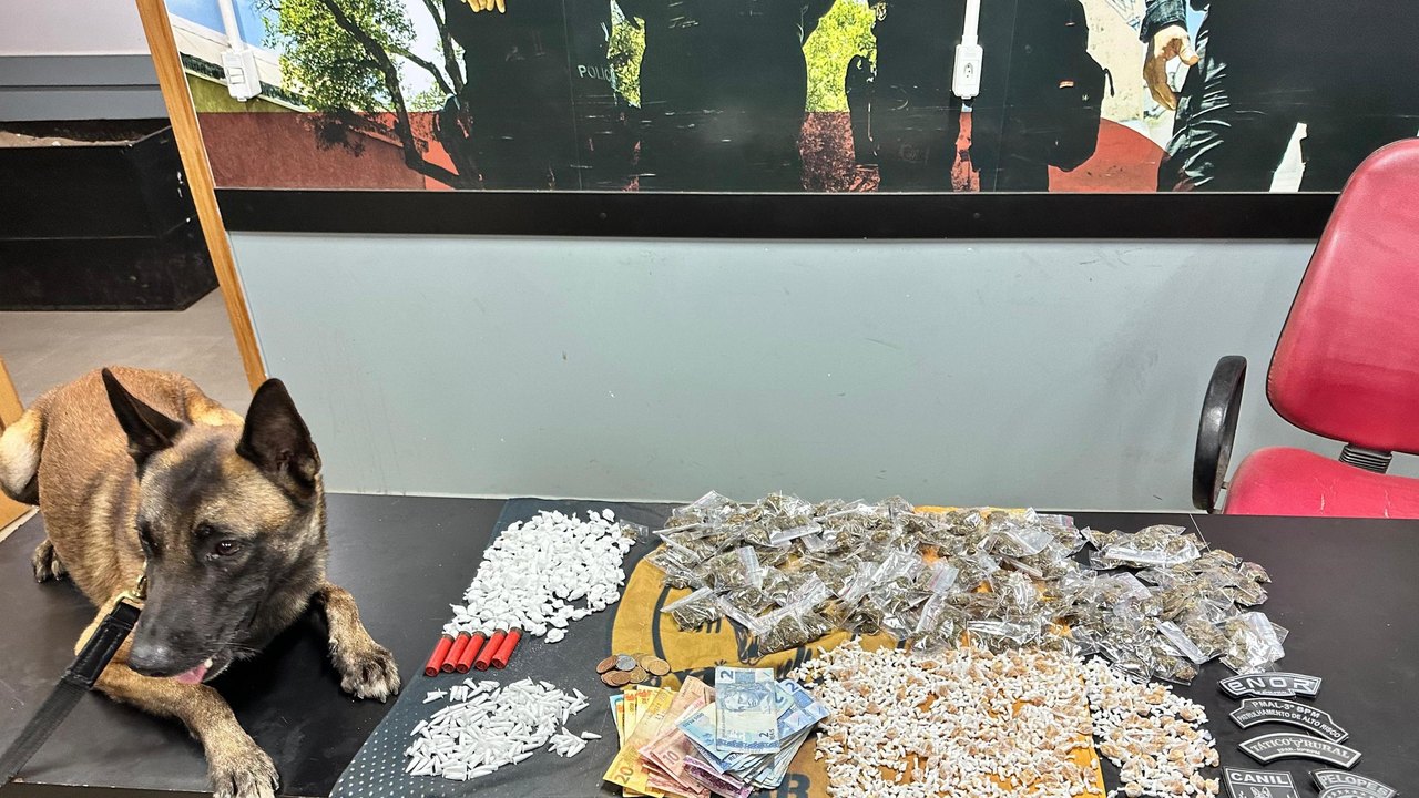 PM apreende cerca de 2 mil pedras de crack, munições e outras drogas em Palmeira dos Índios