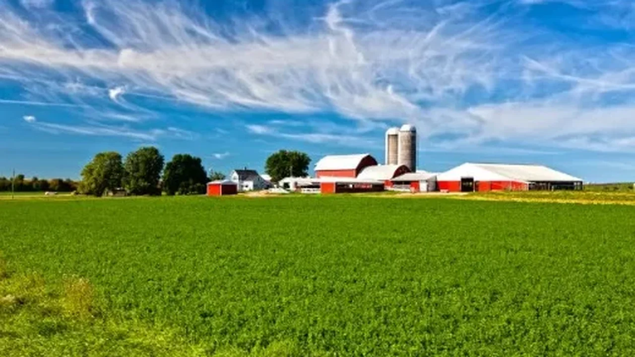 Comissão de Agricultura do Senado dos EUA aprova Farm Bill