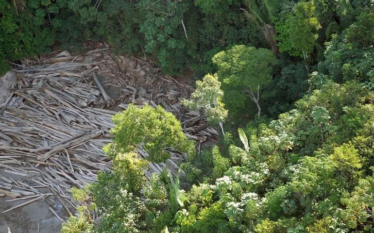Desmatamento no Pará cai 55% em 3 anos, mas estado segue líder na destruição da Amazônia