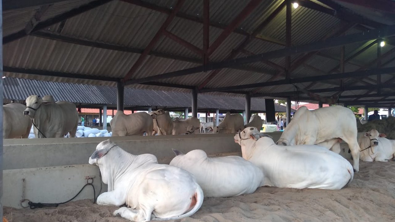 Programação da 70º Expoagro/AL continua nesta segunda (26)