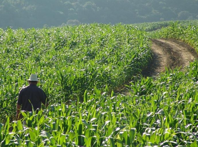 Garantia-Safra: agricultores familiares receberão o recurso a partir de abril