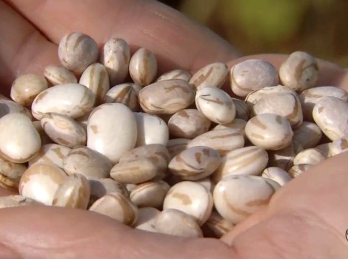 Preços ao consumidor registram alta em junho, conforme Seplag