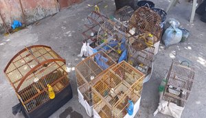 cats-1 / Foto: Foto: Ascom PM/SE