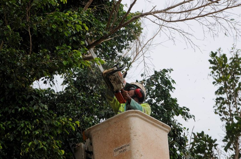 Semds leva poda, jardinagem e arborização à parte alta de Maceió