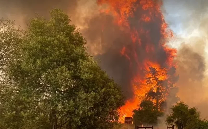 Incêndios na Califórnia: por que as florestas estão queimando nesta proporção em pleno inverno?