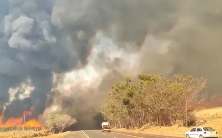 SP tem 36 cidades com alerta máximo de perigo para fogo; veja lista