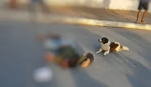 Cachorro permaneceu ao lado do corpo até que ele fosse recolhido. Foto: Reprodução/Internet.