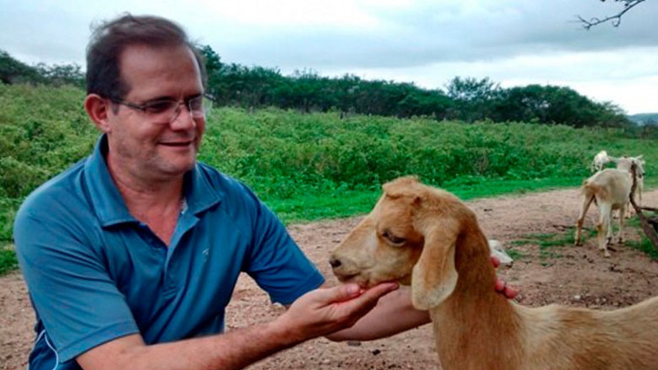 Pesquisadores da Uneal descobrem alimentação animal alternativa
