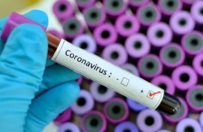  Palmeira tem 273 casos confirmados de Covid-19