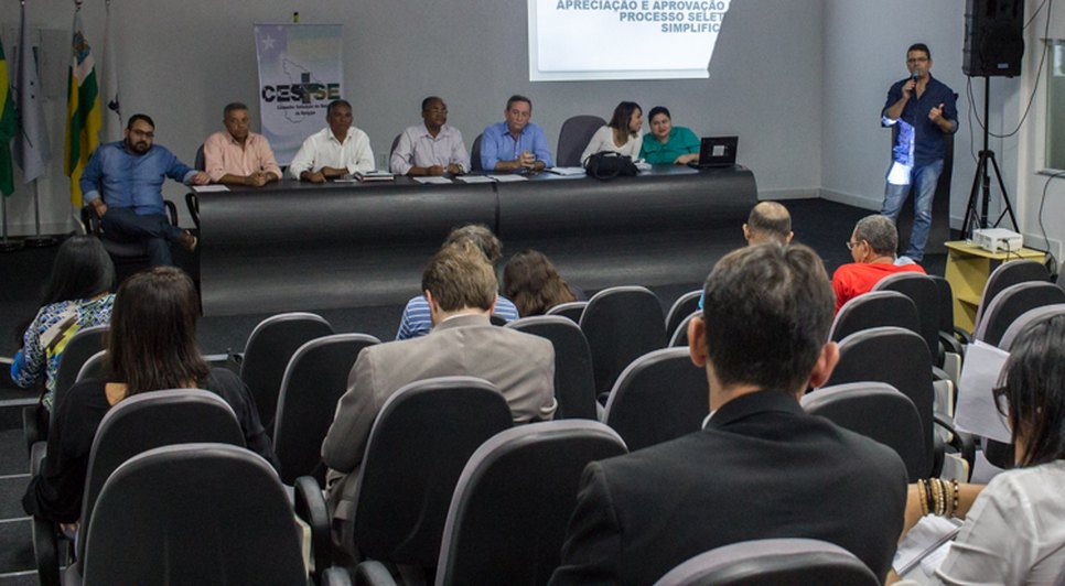 ses processo simplificado