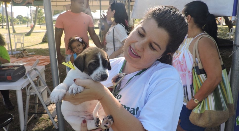 cuidados com o animal 