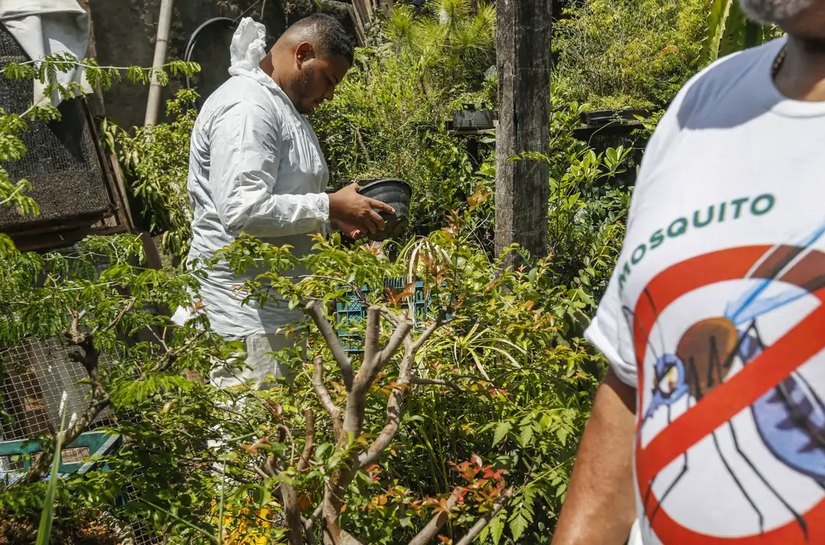 Dengue: SP, MG e PR concentram 73% dos casos e 86% dos óbitos