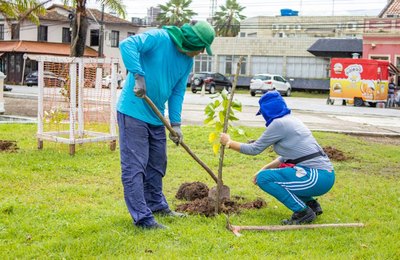 Prefeitura realiza plantio de mudas nos bairros do Centro e Jaraguá