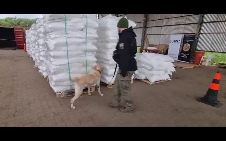 Espanha apreende quatro toneladas de cocaína em sacos de arroz vindos do Paraguai