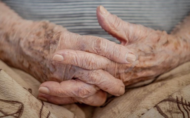 Censo 2022: sua cidade é jovem ou velha? Clique aqui e descubra 