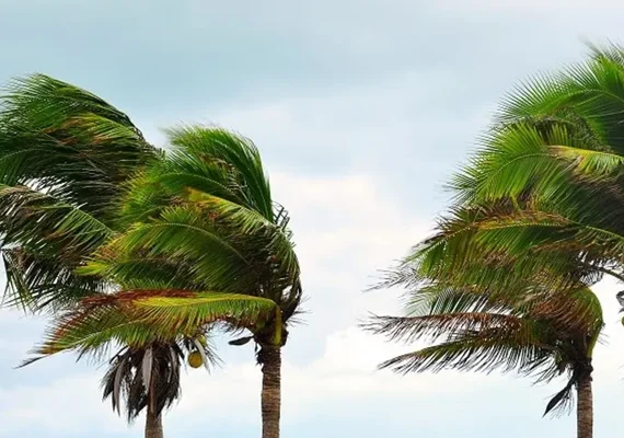 Inmet emite alerta de vendaval para municípios do Sertão de Alagoas